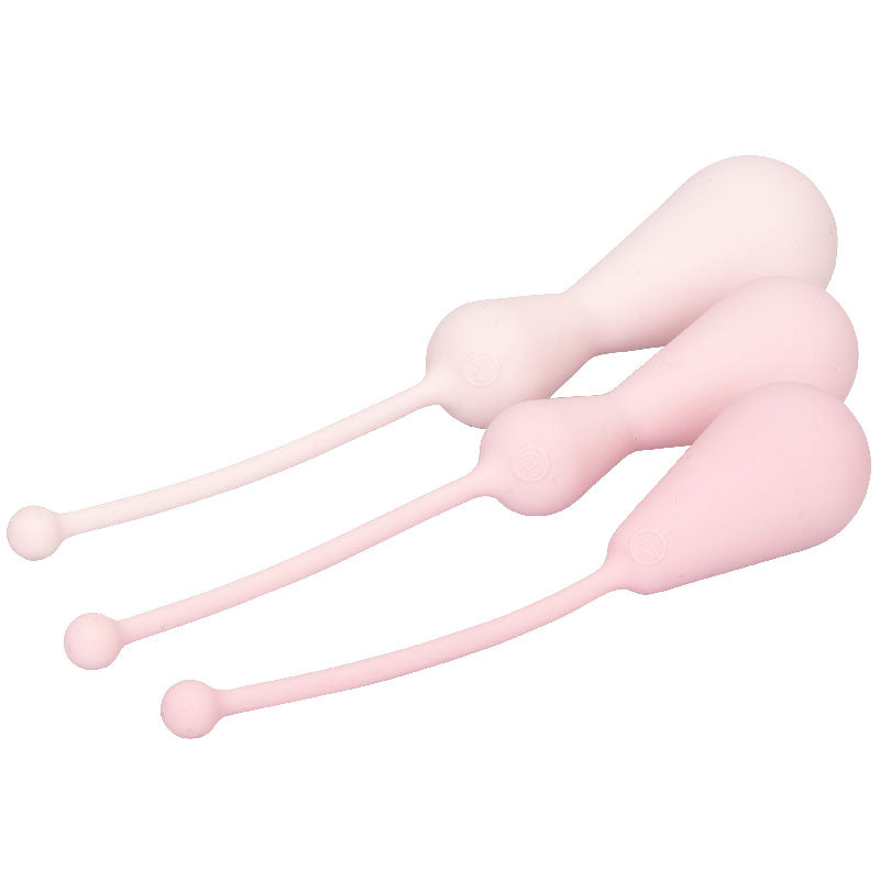 Inspire Weighted Silicone Kegel Training Kit-2