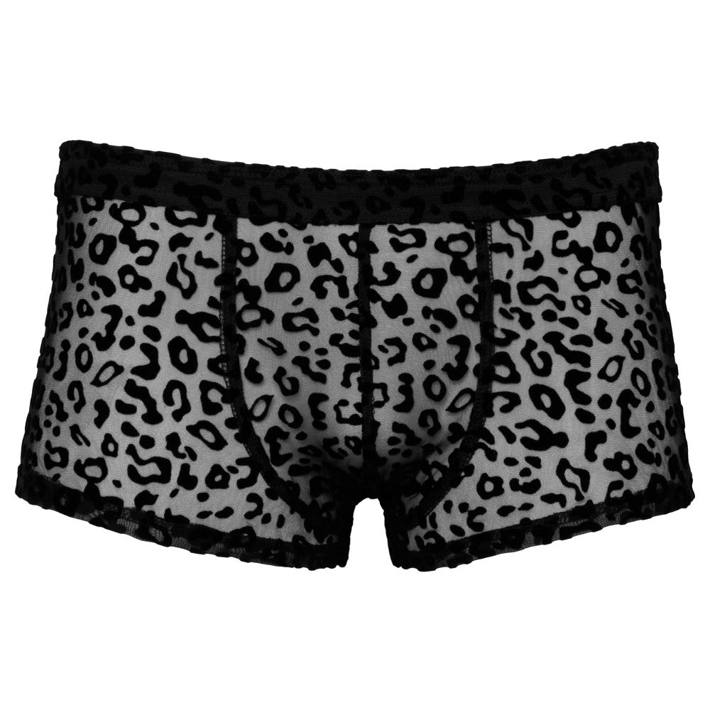 Noir Sheer Animal Print Pants-2