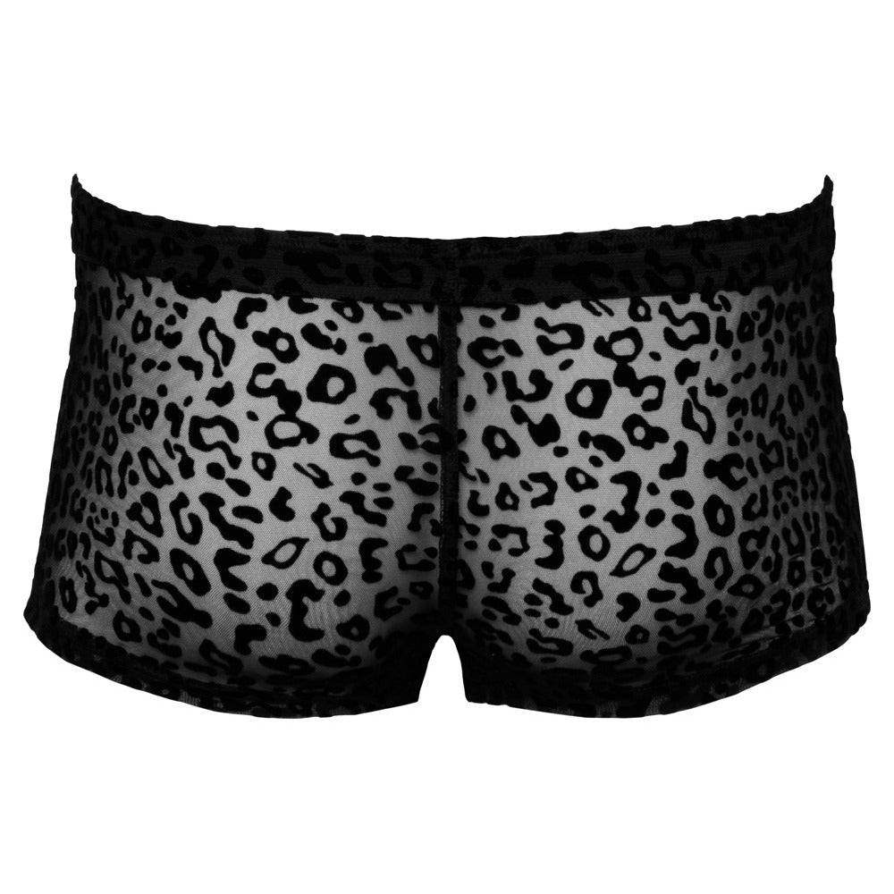 Noir Sheer Animal Print Pants-3