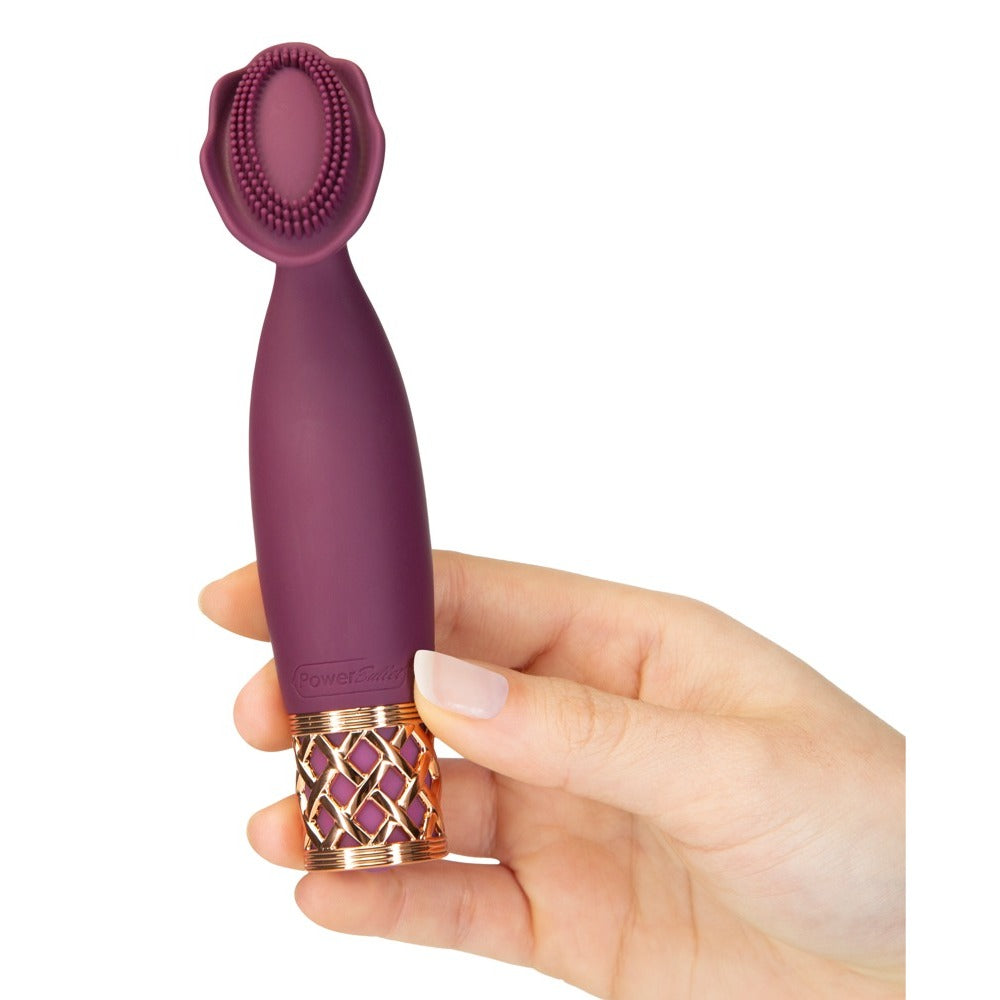 Pillow Talk Secrets Passion Mini Massager-1