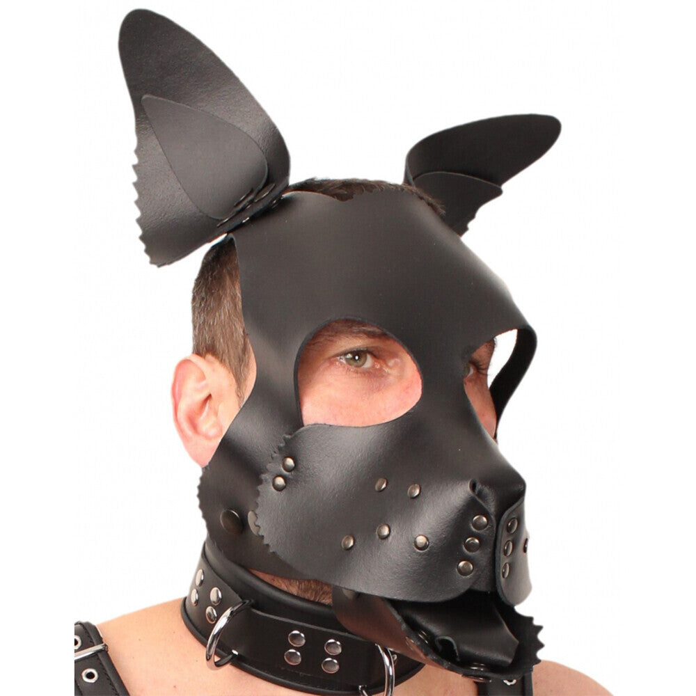 The Red Leather Puppy Dog Mask-0