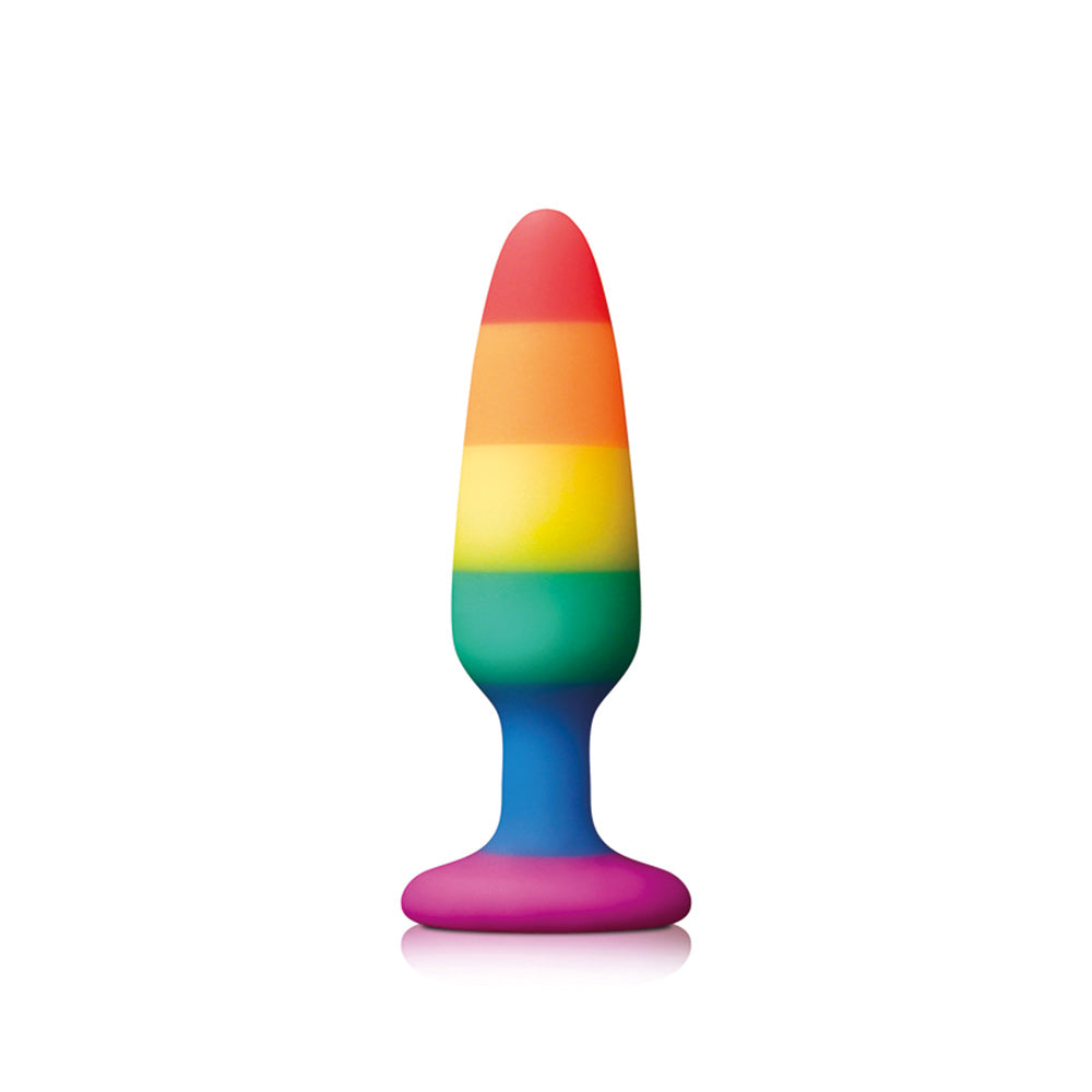 Pride Pleasure Plug Rainbow Small-0