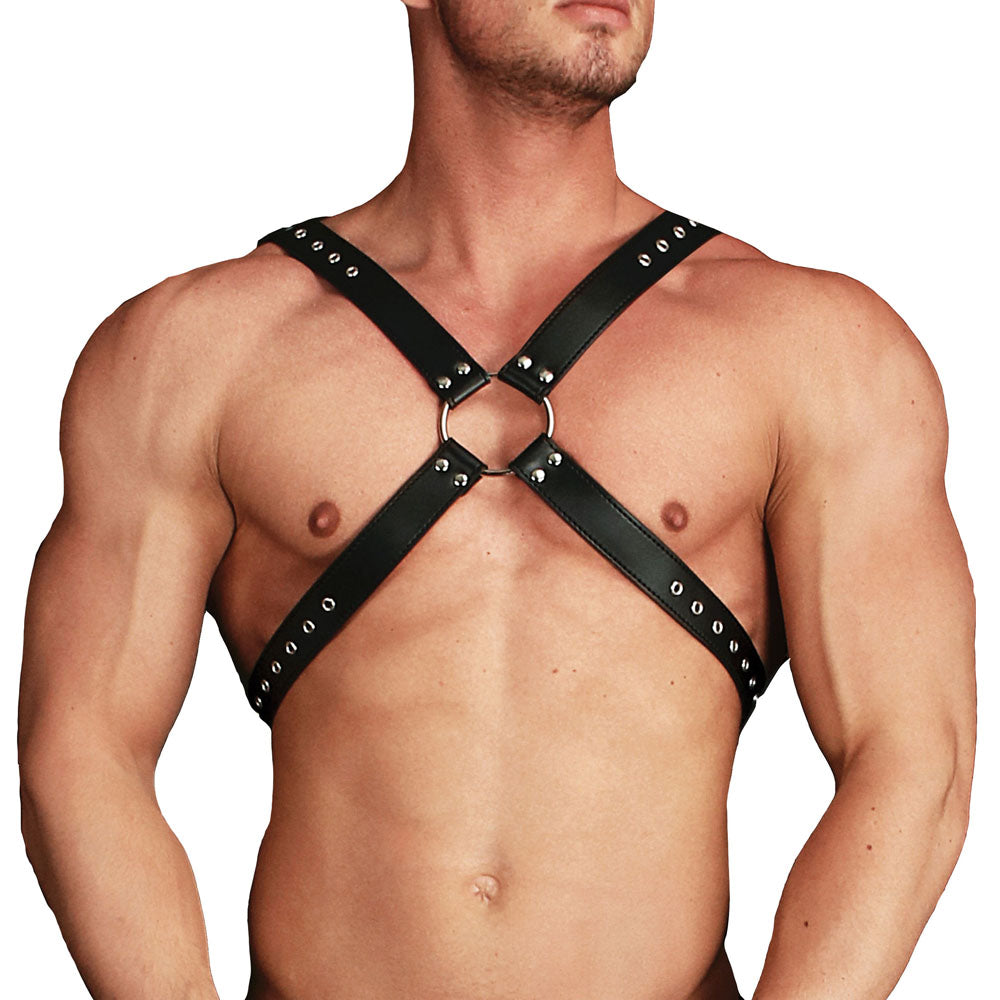 Ouch Adonis High Halter Harness-0