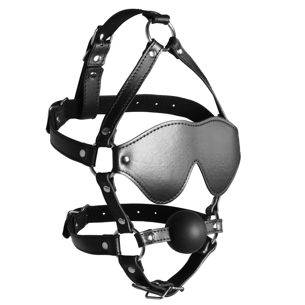 Ouch Xtreme Blindfolded Harness With Solid Ball Gag-2