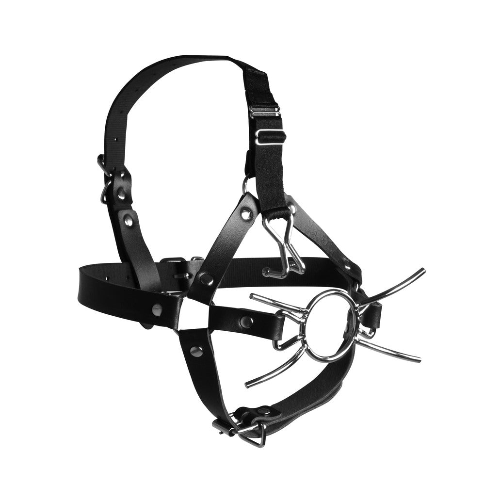 Ouch Xtreme Head Harness With Spider Gag And Nose Hooks-1