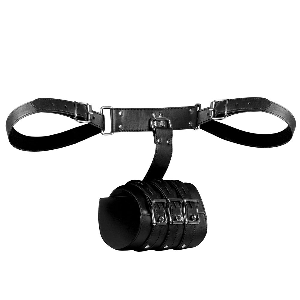 Complete Arm Restraints-1