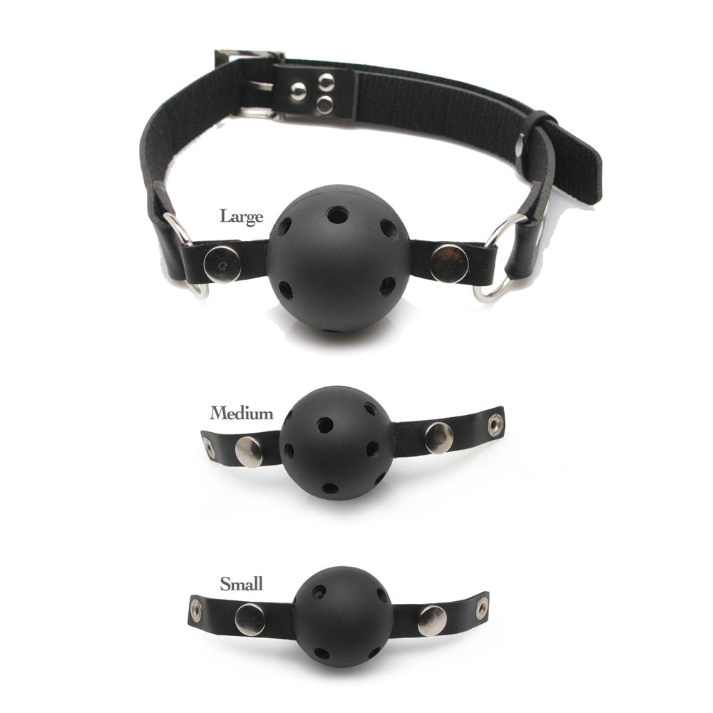 Fetish Fantasy Series Ball Gag Training System-0