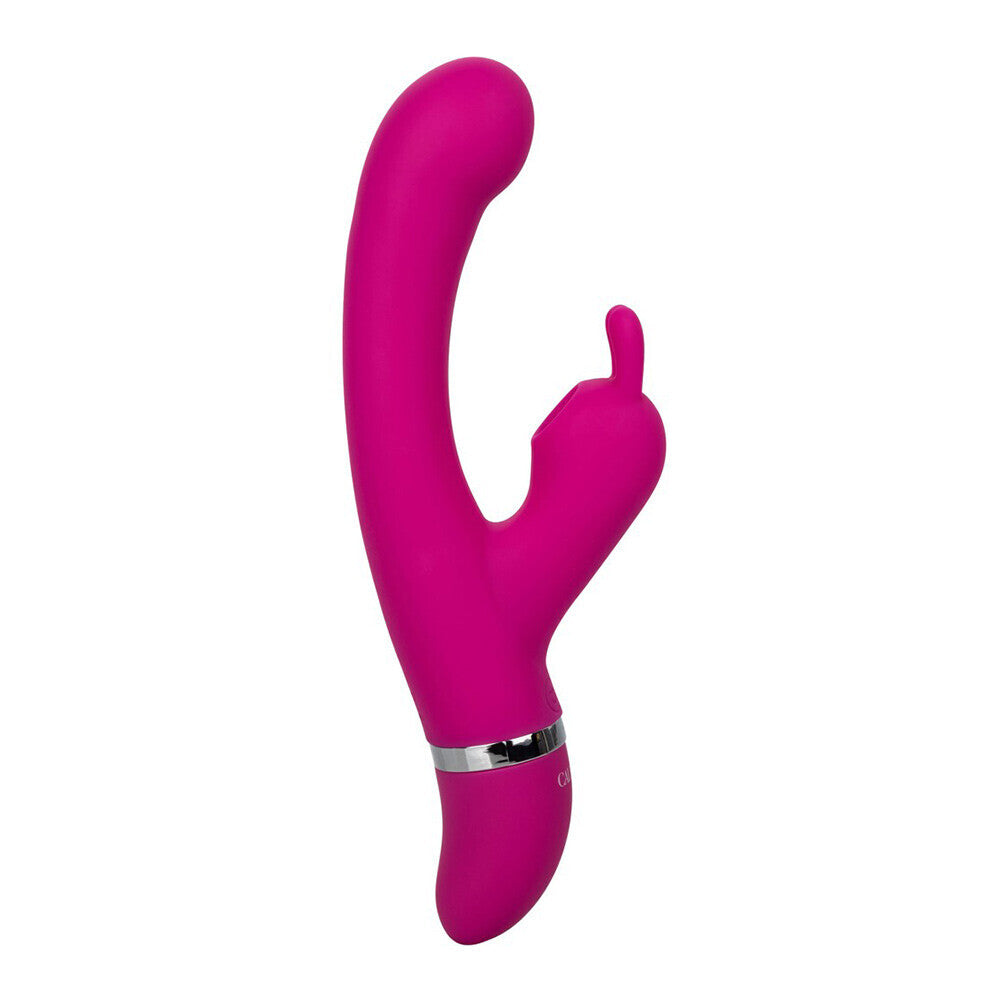 Foreplay Frenzy Bunny Kisser Vibrator-1