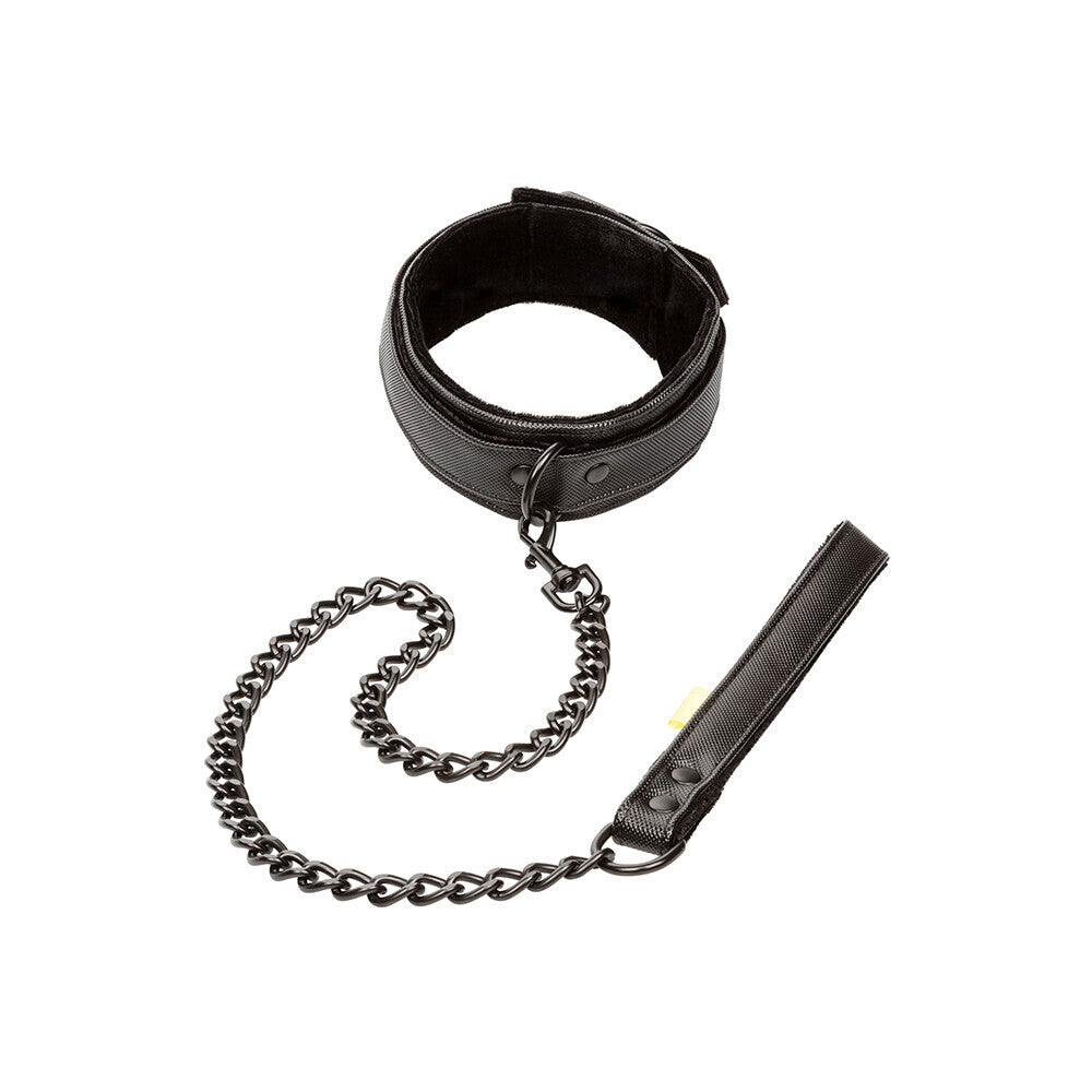 Boundless Collar and Leash-0