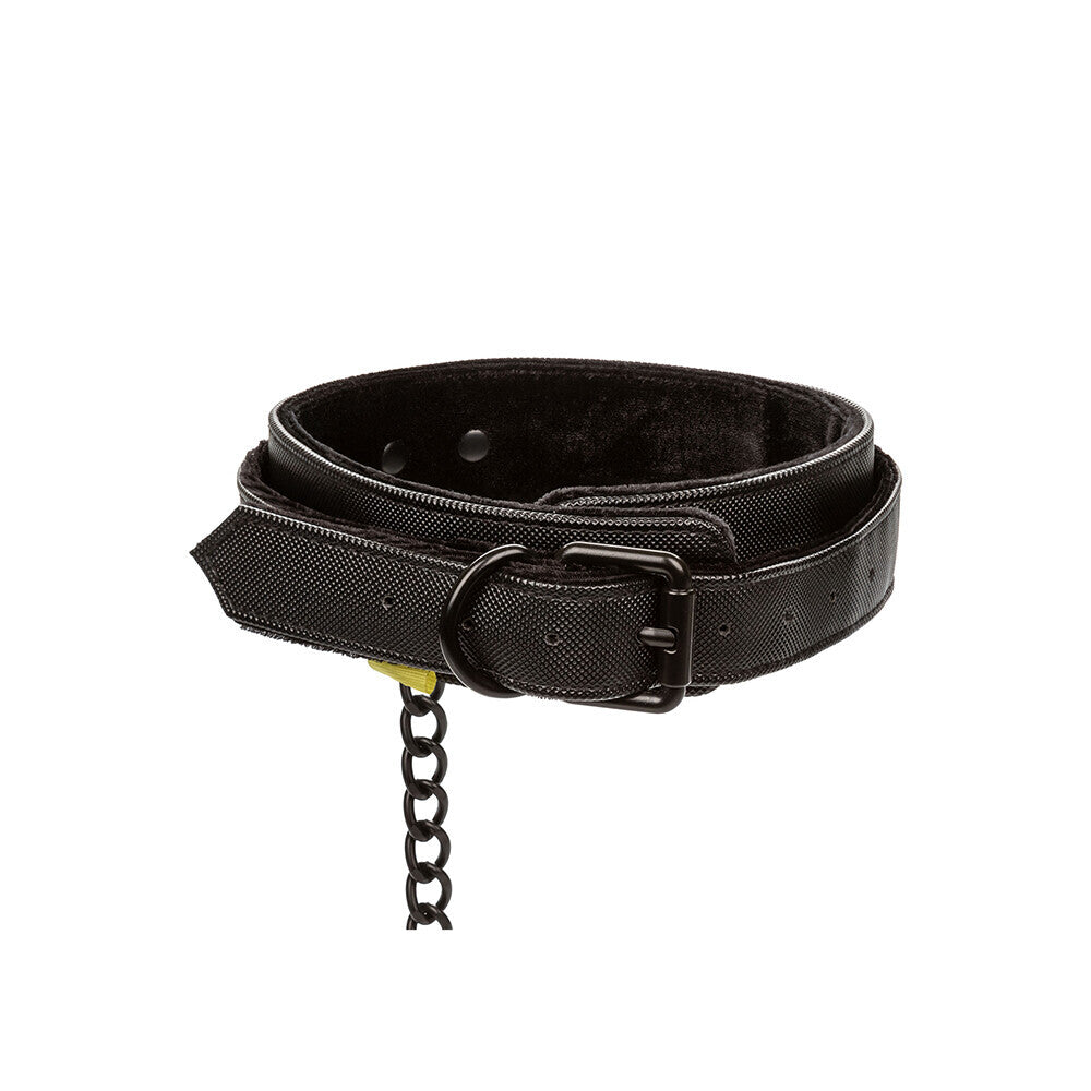 Boundless Collar and Leash-1