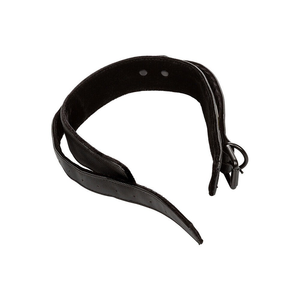 Boundless Collar and Leash-2