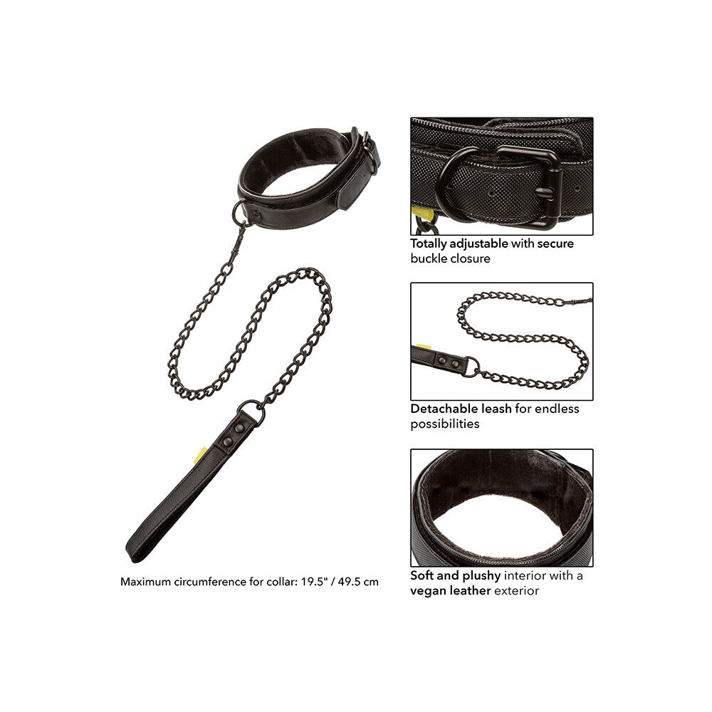 Boundless Collar and Leash-3