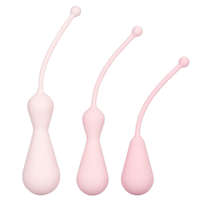 Inspire Weighted Silicone Kegel Training Kit-0